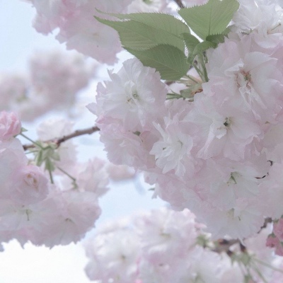 兽设色彩渐变技巧兽圈群